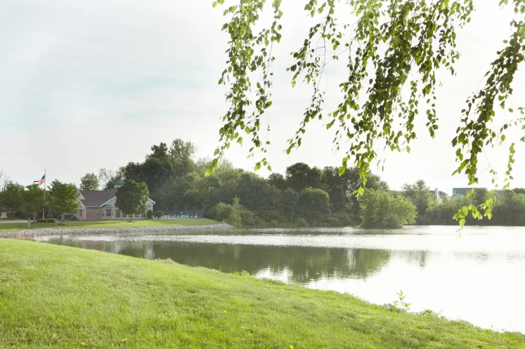 A grassy lawn slopes down to a calm lake, with trees and a small building in the background under a bright sky. Branches with leaves hang in the upper right foreground.