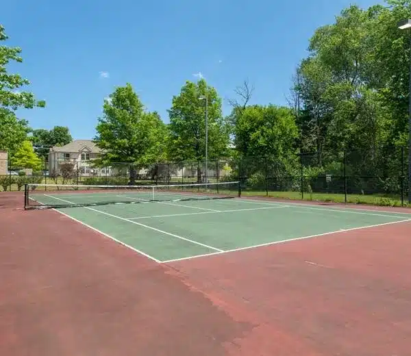 Outdoor tennis court with a green playing surface and red surrounding area, enclosed by a black chain-link fence, trees, and houses in the background under a clear blue sky.
