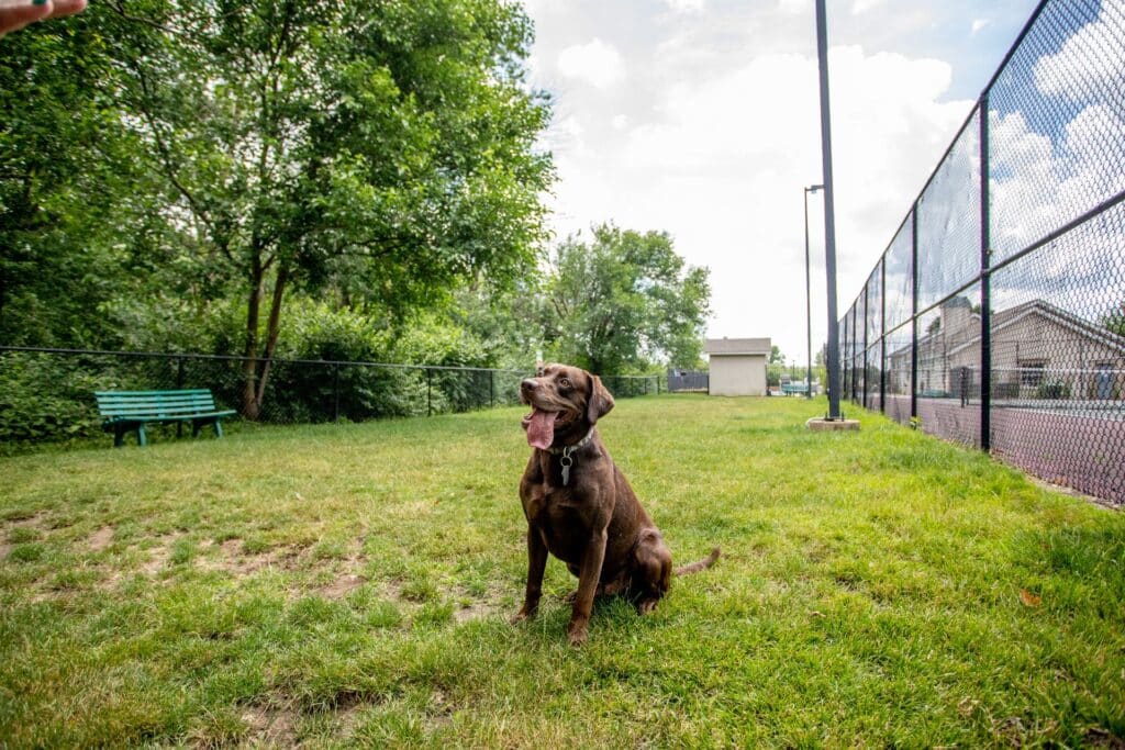 Pet friendly apartments at Blackbird Farms near Purdue University in West Lafayette